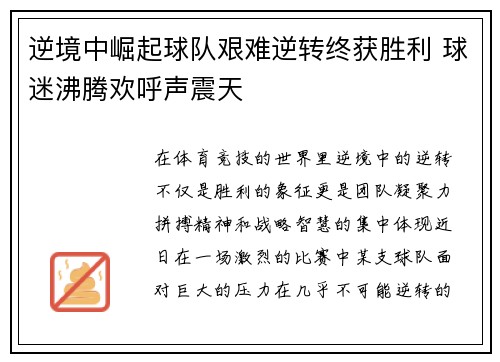 逆境中崛起球队艰难逆转终获胜利 球迷沸腾欢呼声震天